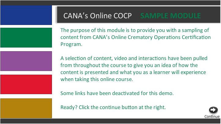 Screenshot of the online COCP demo