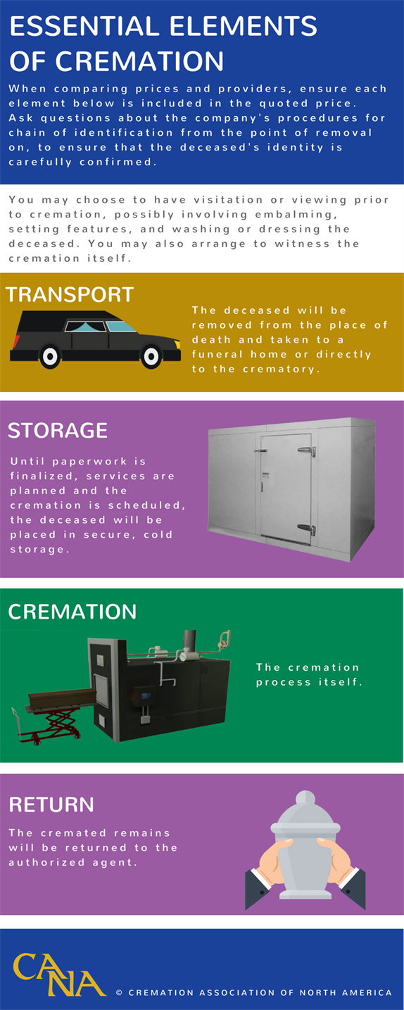 Elements of cremation infographic