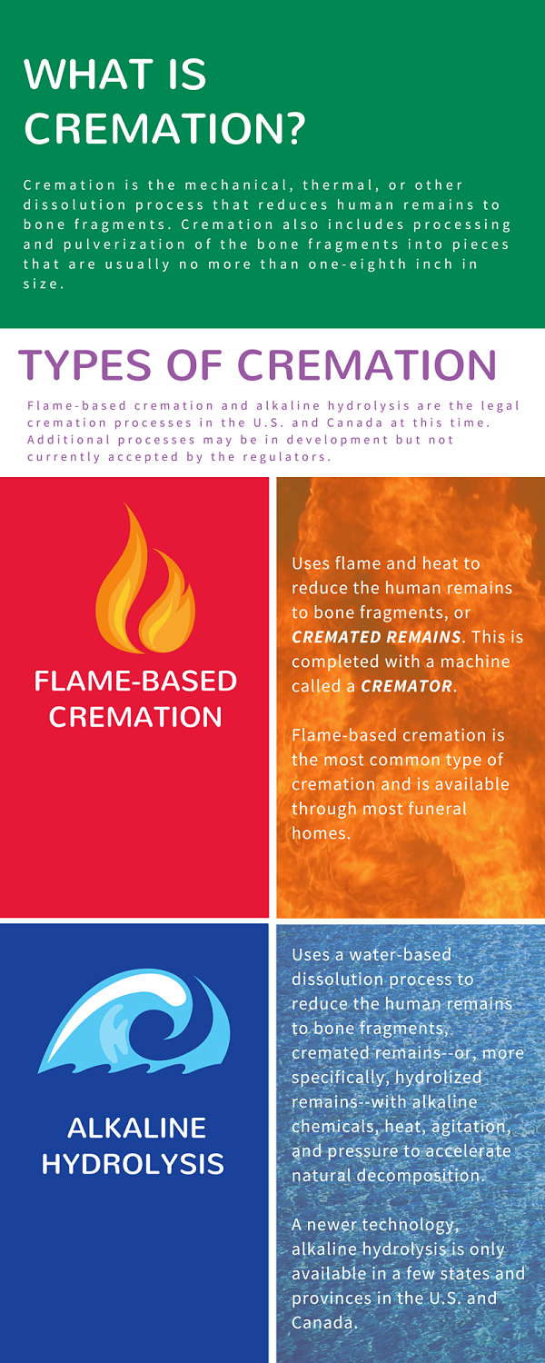 Types of cremation infographic